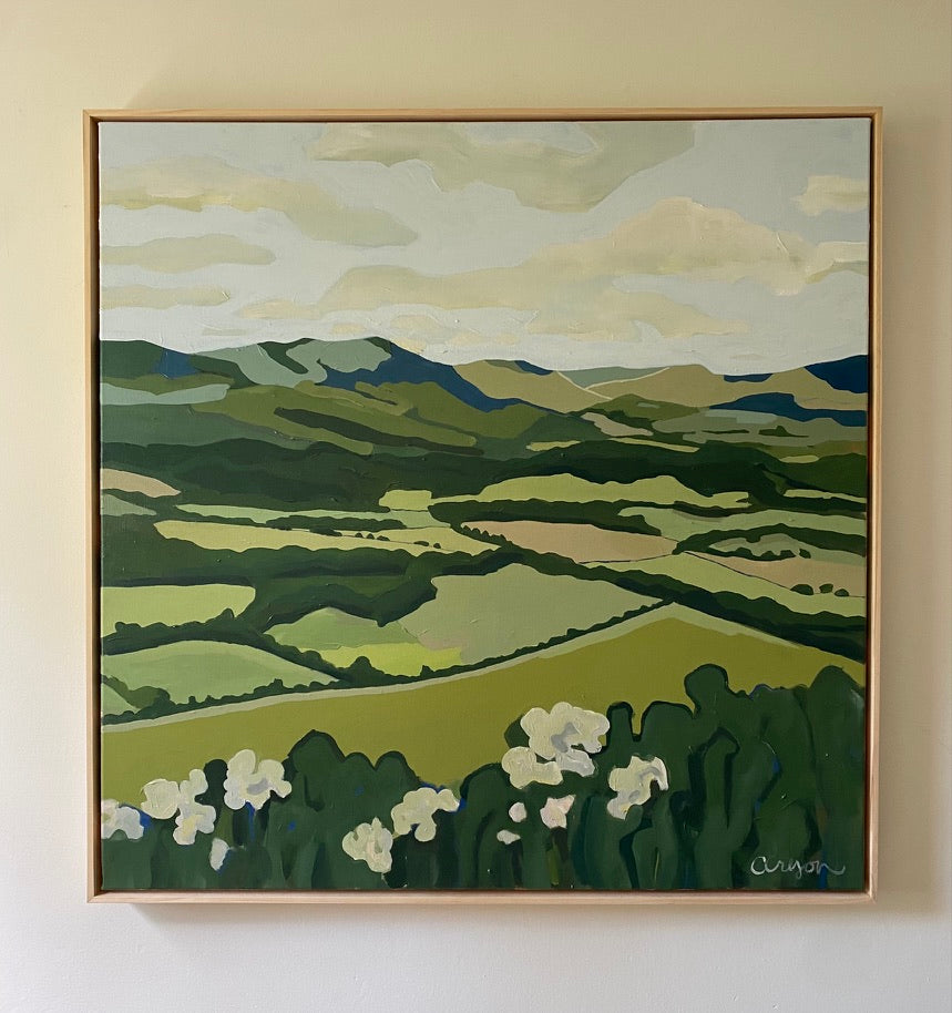 Virginia Mountains
