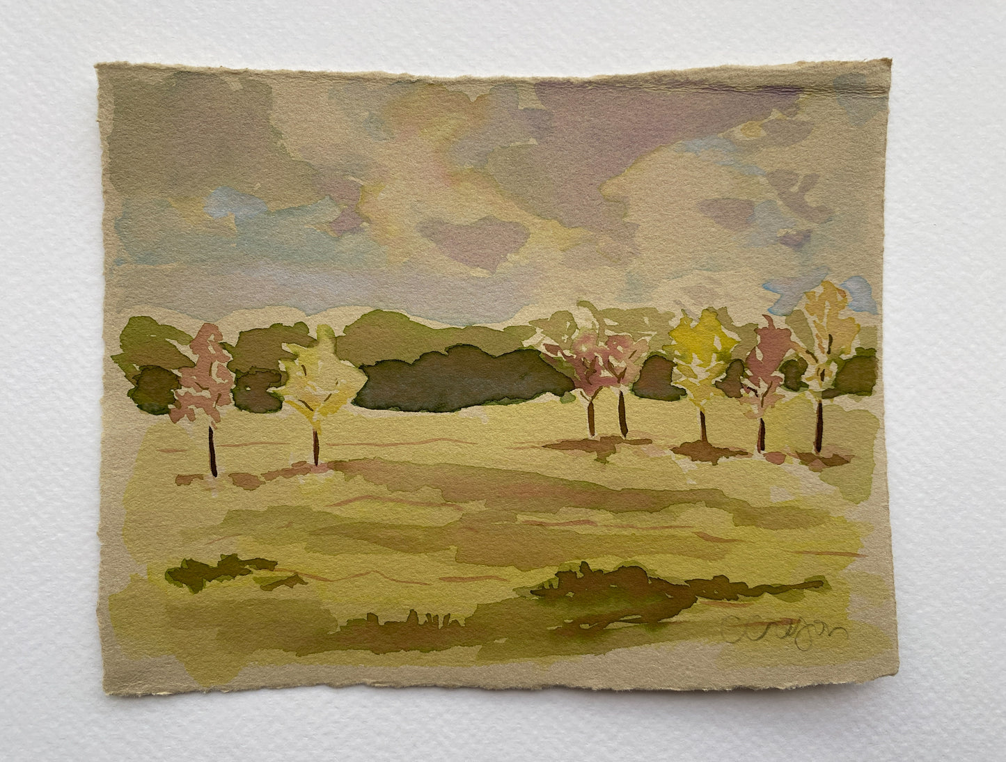 Georgia Farm