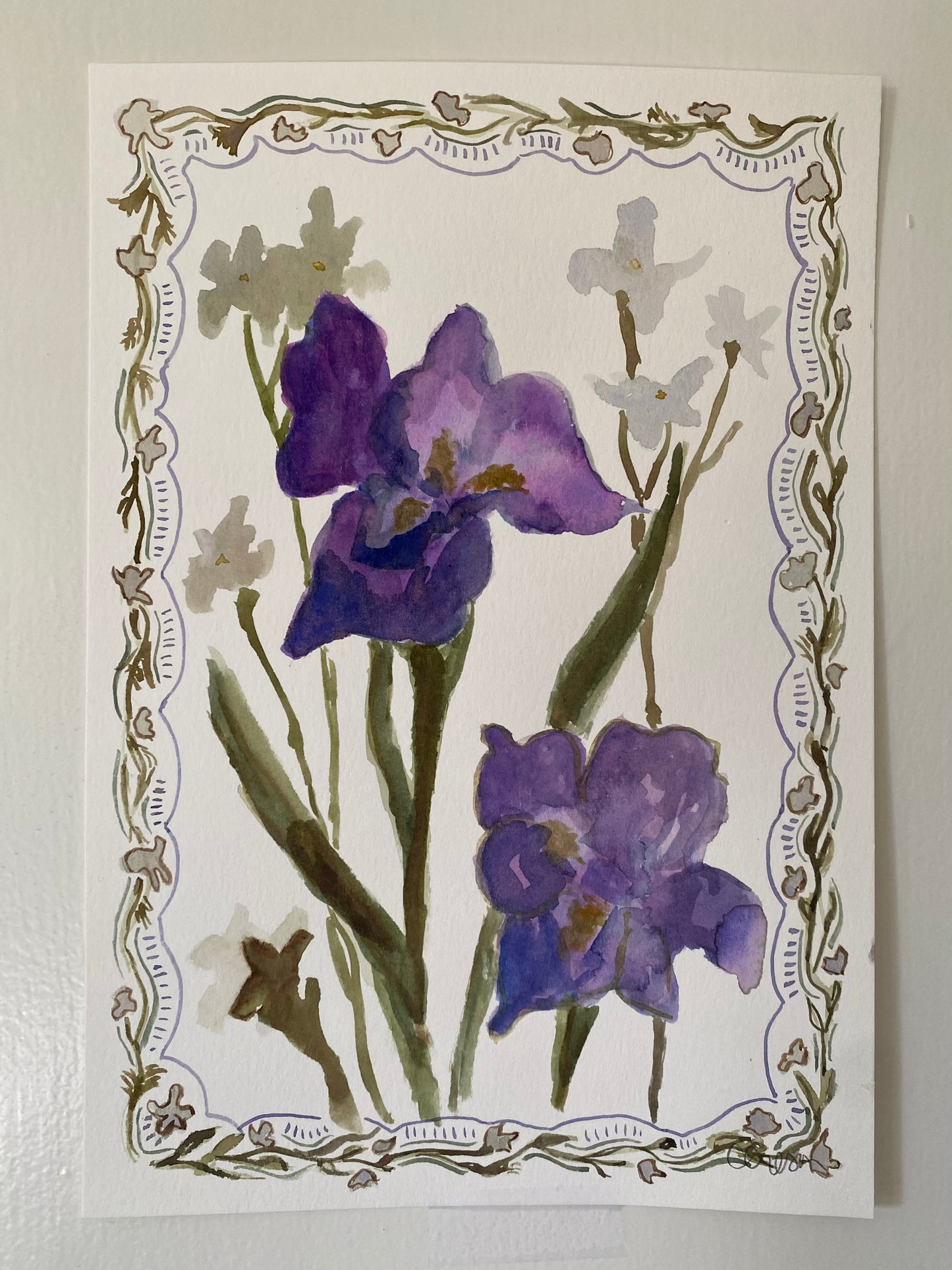 Purple Iris Study