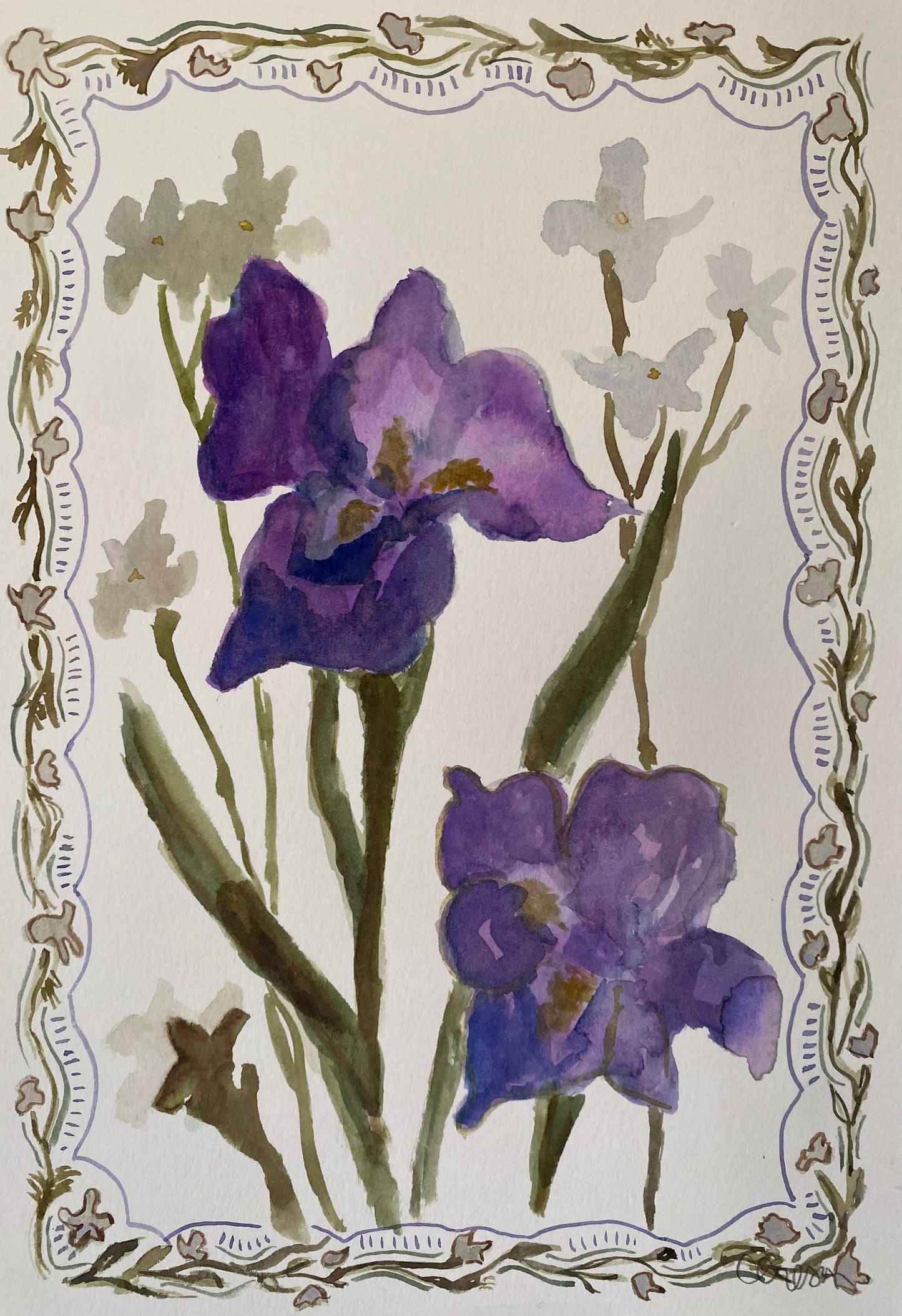Purple Iris Study
