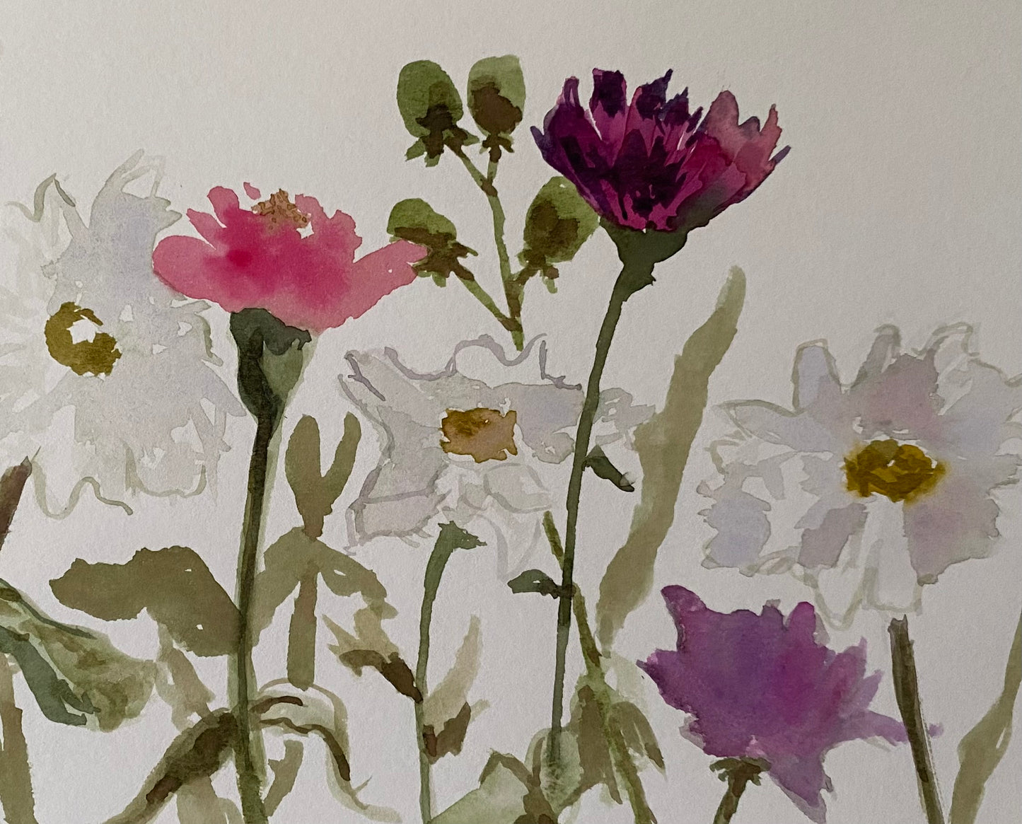 Daisies & Zinnias