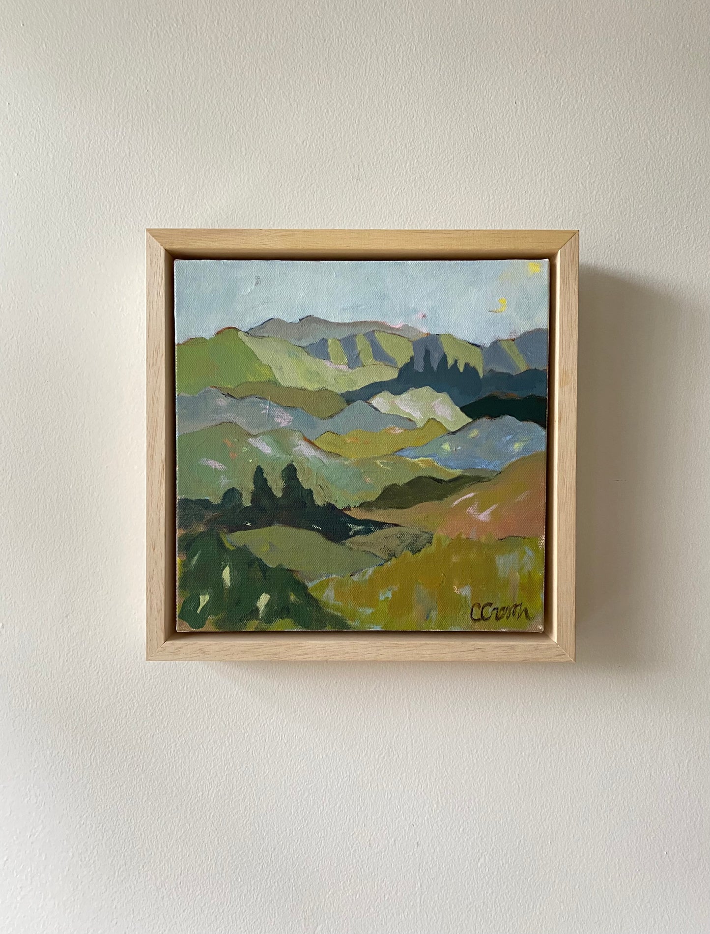 Woven Fields