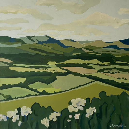 Virginia Mountains