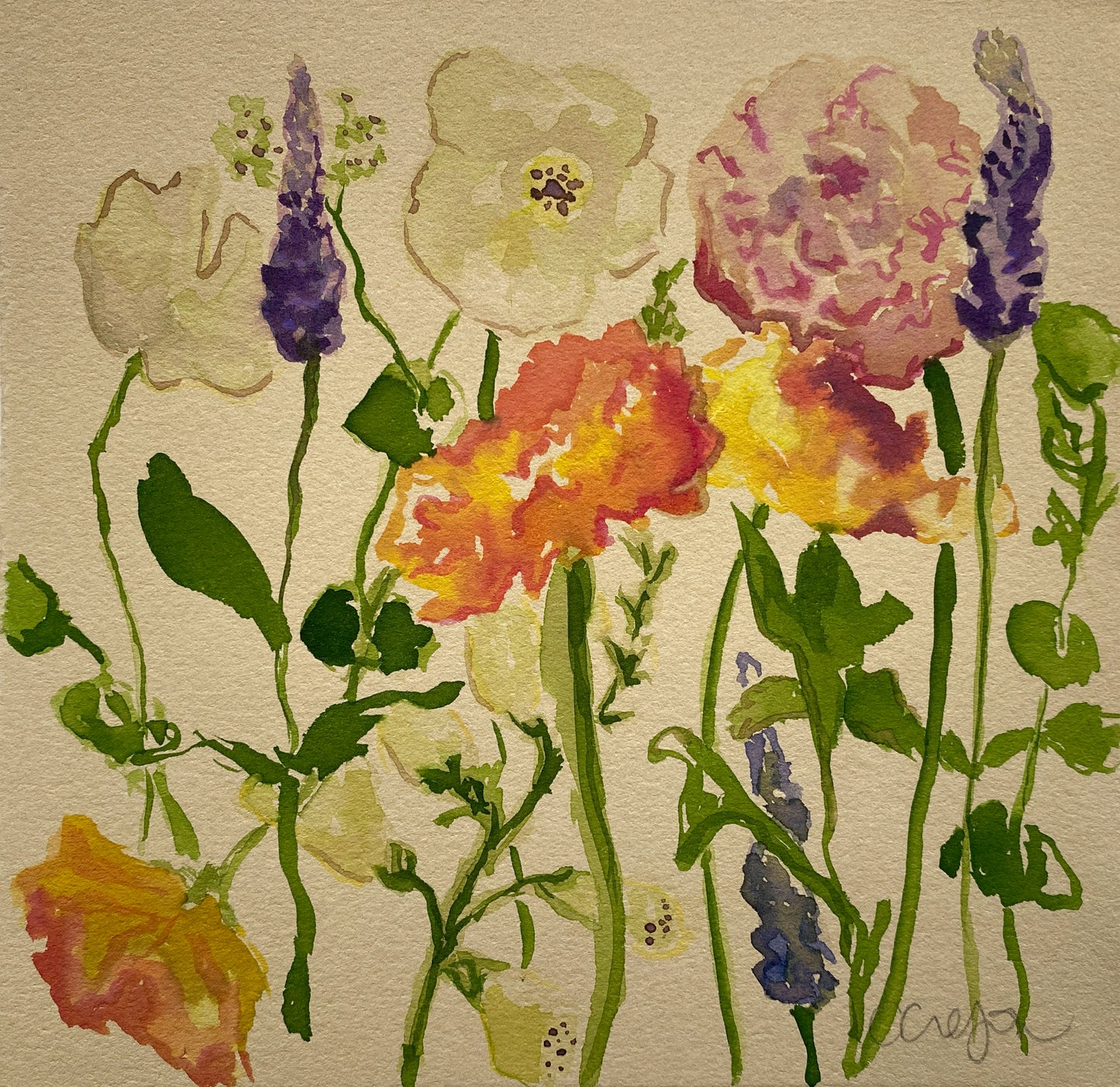 Flower Study