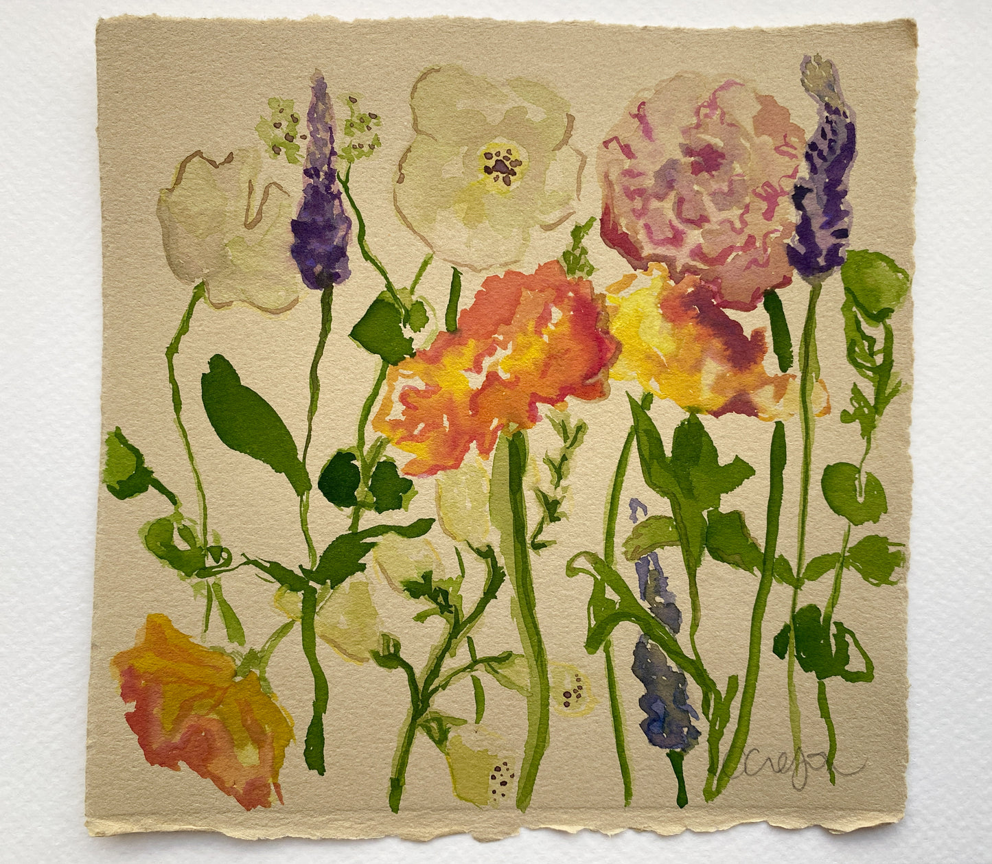 Flower Study