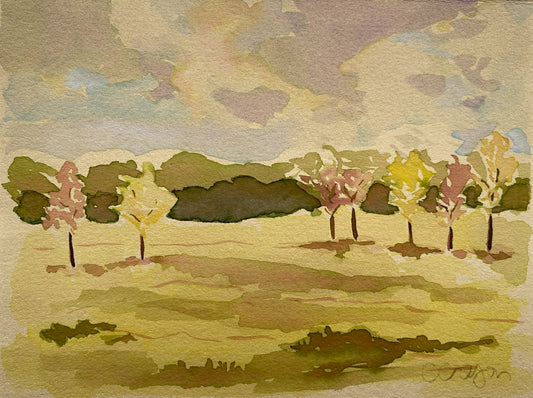 Georgia Farm