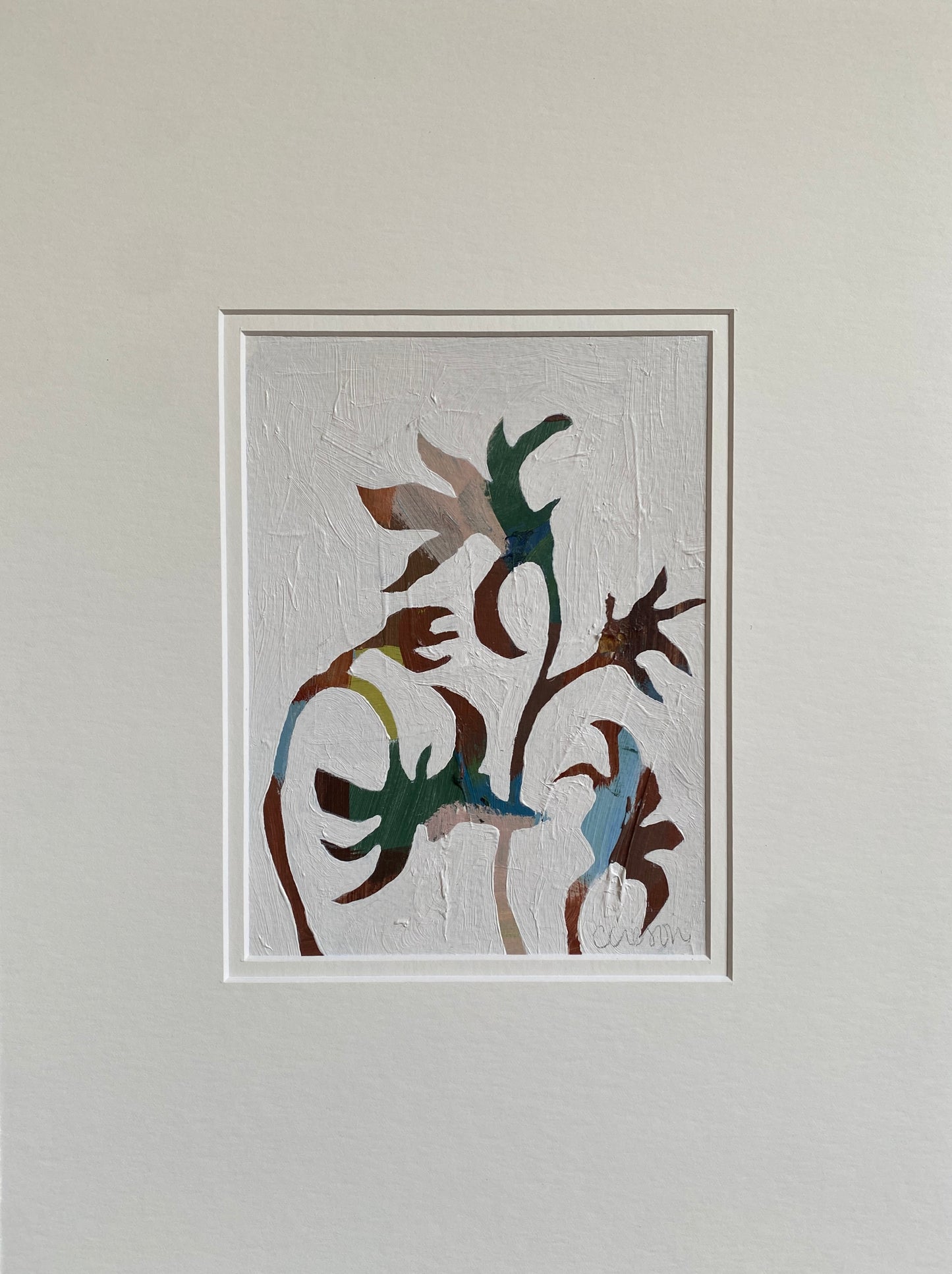 Chestnut Flannel Flower