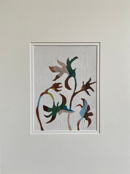 Chestnut Flannel Flower