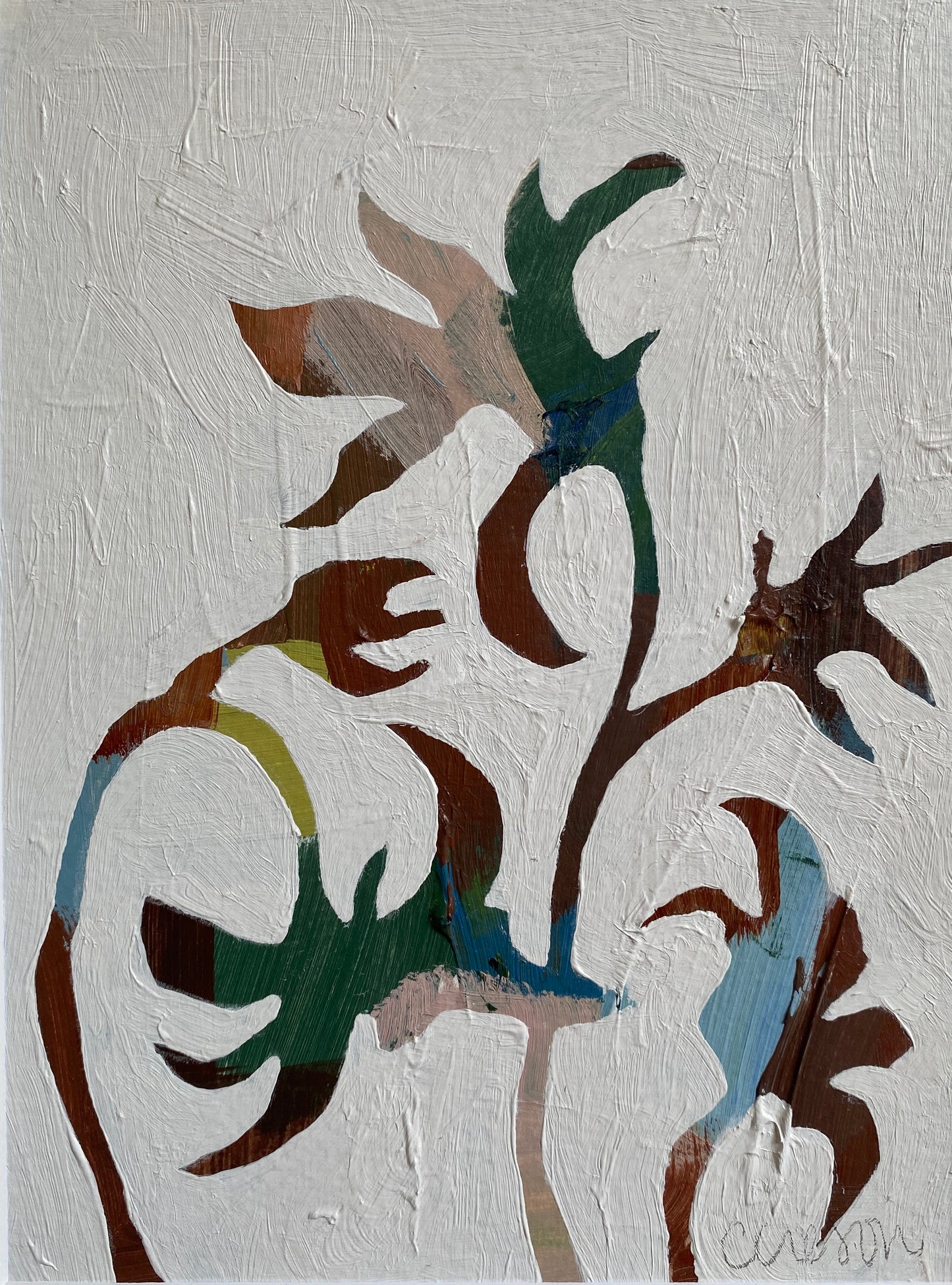 Chestnut Flannel Flower