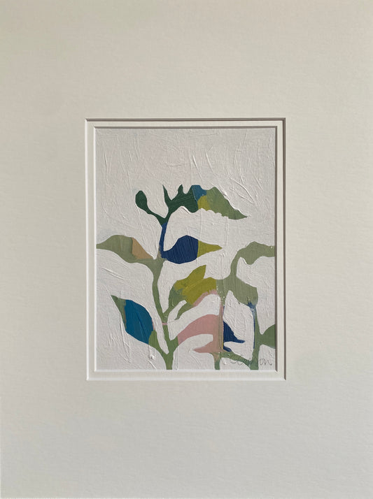 Sage Gooseneck Loosestrife