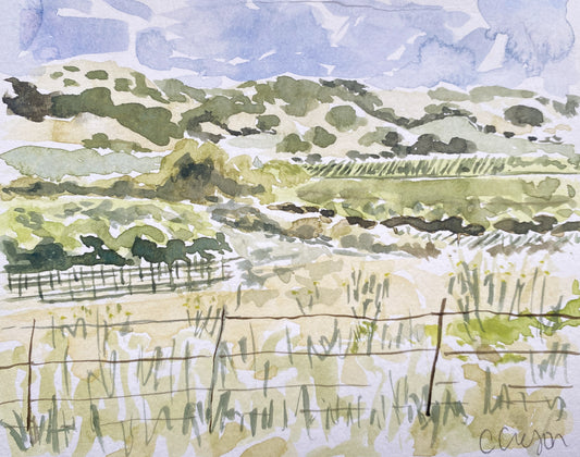 Road Through Sonoma
