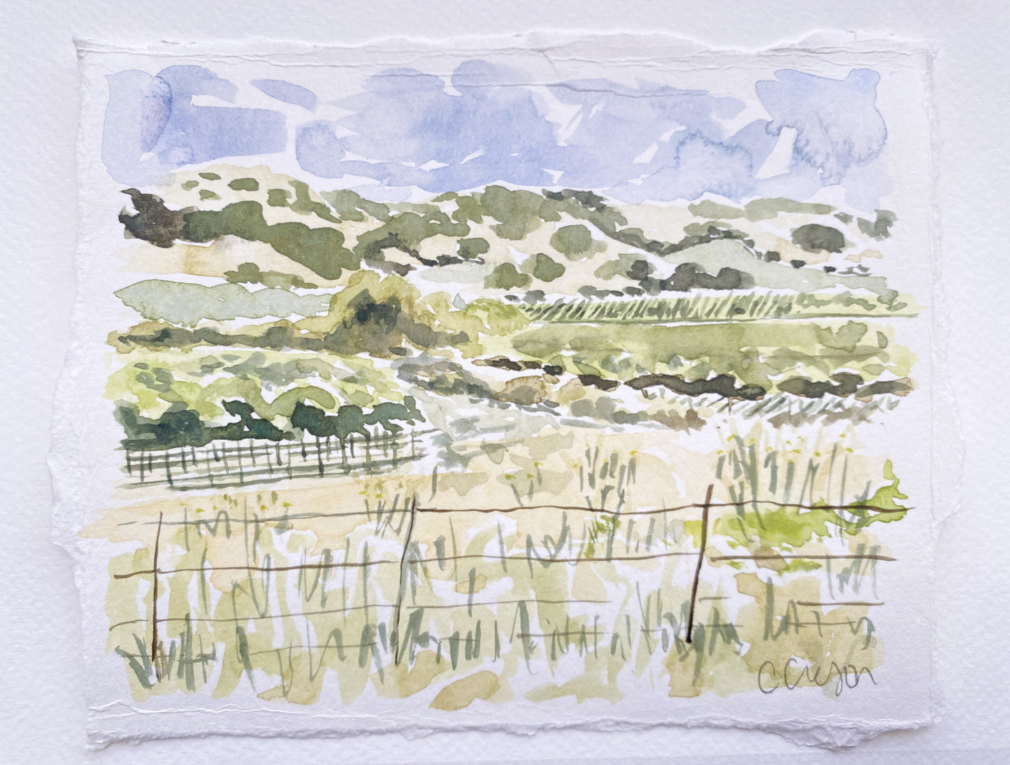 Road Through Sonoma